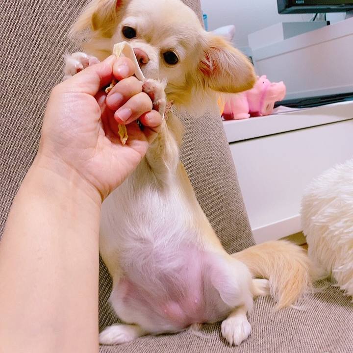 A4446e65 6969 4924 bae9 ca379abe37ab 1625304110316