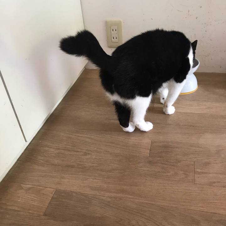 A4447136 bf4b 4af0 9689 00f045b48e51 1567068435931