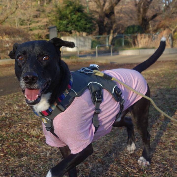 A4448505 5cbc 4fda 9390 2151d55785ac 1640134408176