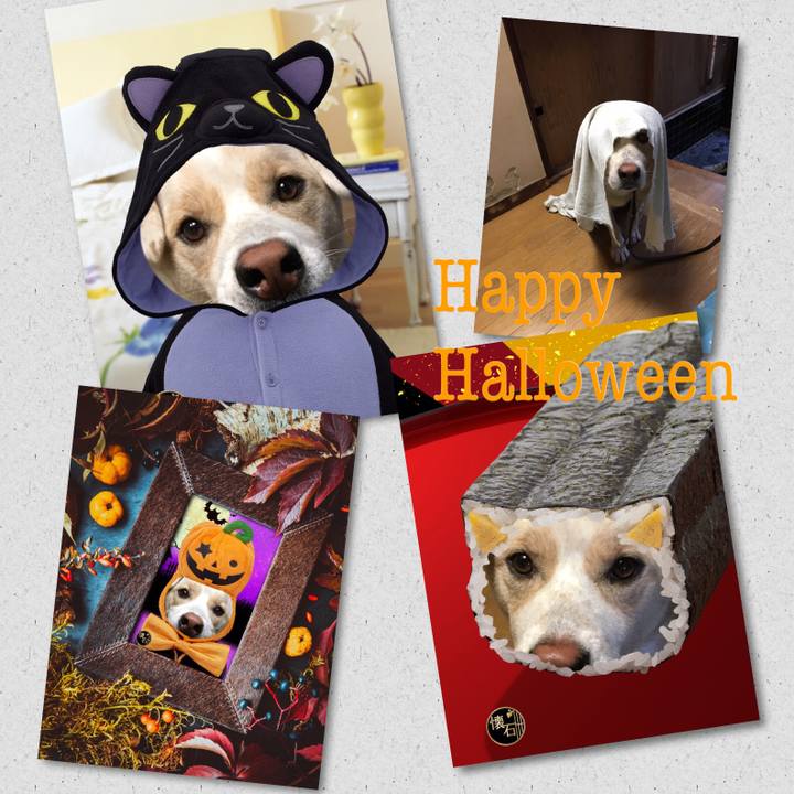 A444c2b7 ebf0 43a2 8084 5157a46d7407 1509363704126