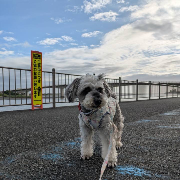 A444cdcd f68d 4c19 a0ab 594044869ecb 1750109477515