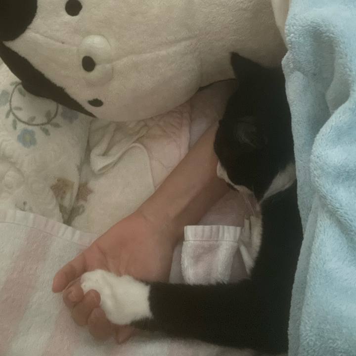 A44530cc 1e46 4868 9034 ec963c8fabf7 1651310588155