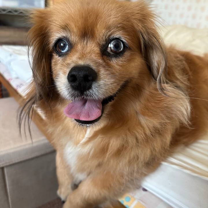 A4454071 64ef 401a 8e47 41f3ad6ec190 1721596504053