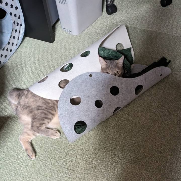 A44542c4 4edd 4849 b165 c38b305ae4d0 1687677903509