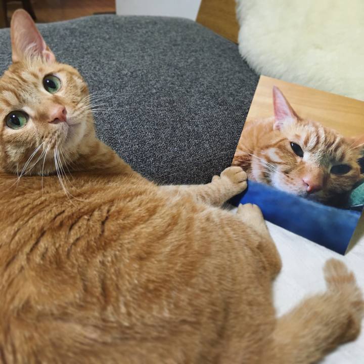 A4455716 12da 4bfd a473 dcb9c2e207d1 1594249317507