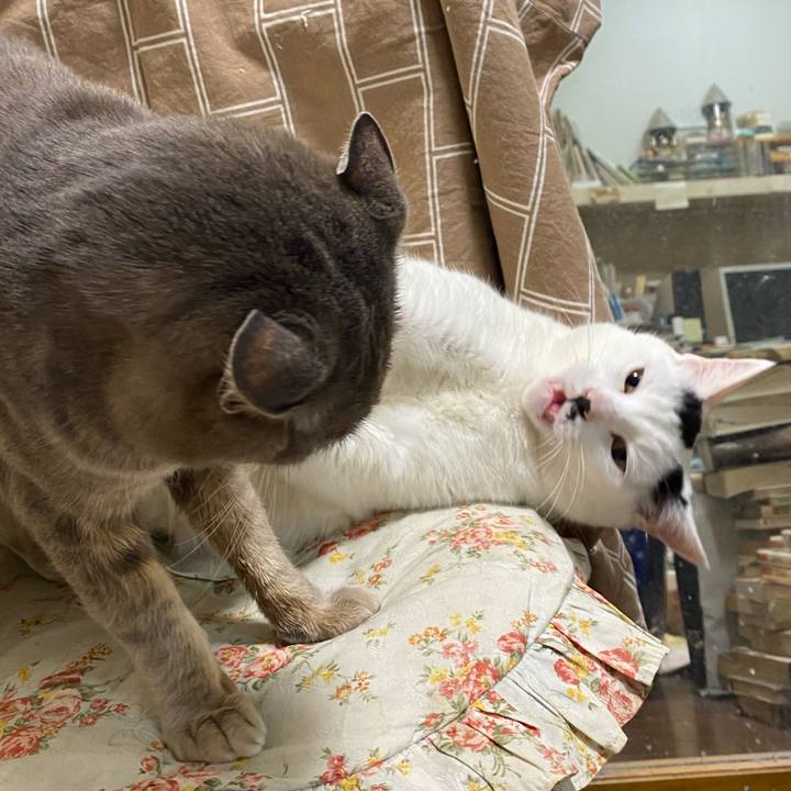 A4455746 a5be 4c04 987e 699fcbf7d73e 1577898924248