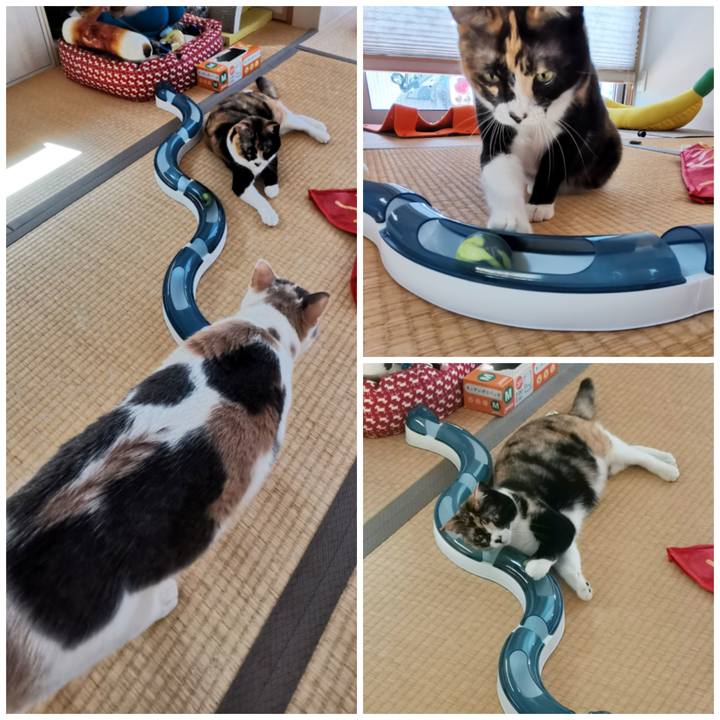 A44569ba f7cd 453c 8f8b d6160cc66b35 1664608882074