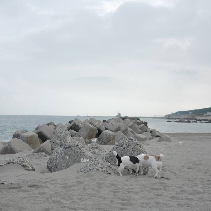 A445a2c5 8274 4d63 bd0c f358496bc735 1562297646776