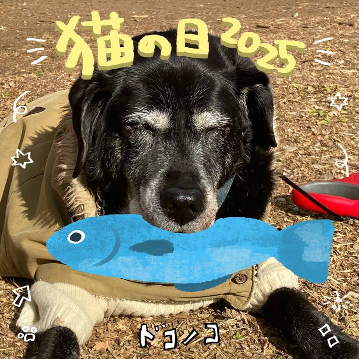 A445a779 82d3 4aaa a842 ad5f9de69333 1740217905399