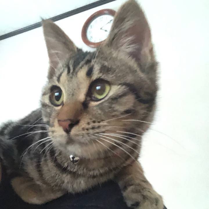 A445beca 264c 4cb1 9383 2dfc050c3372 1735801976088