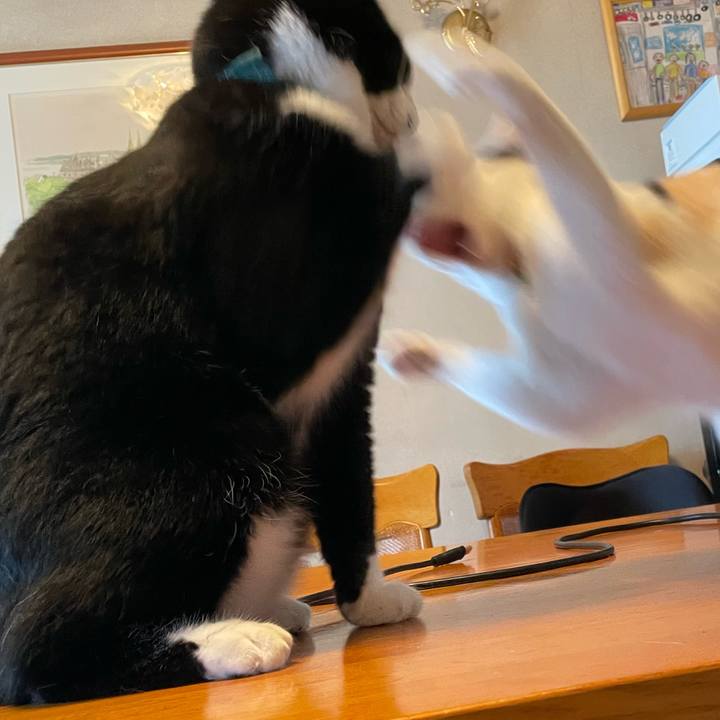 A445cdee 5ca7 42f7 9593 8508dc208bea 1725411334169