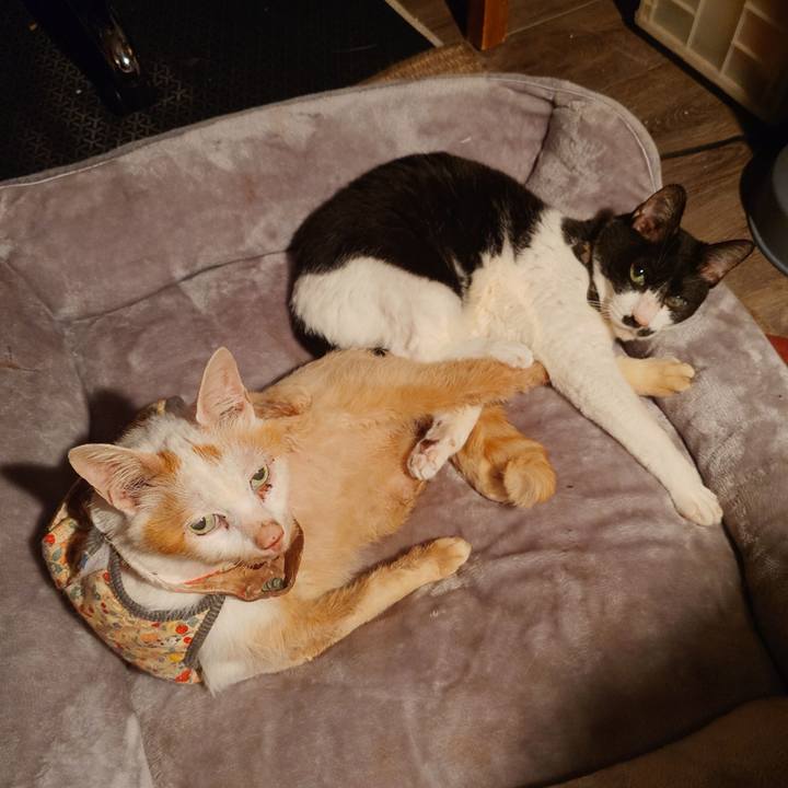 A445d67c 6097 4c61 b63f 5cebf11e26b8 1770902843362