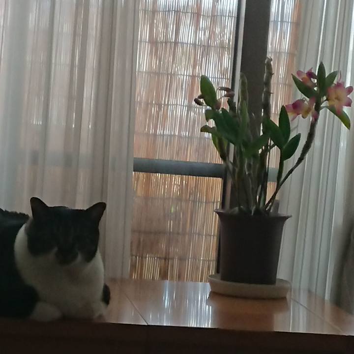 A445ea3b fb30 4d86 a5e6 34aa6f65a786 1564526550418