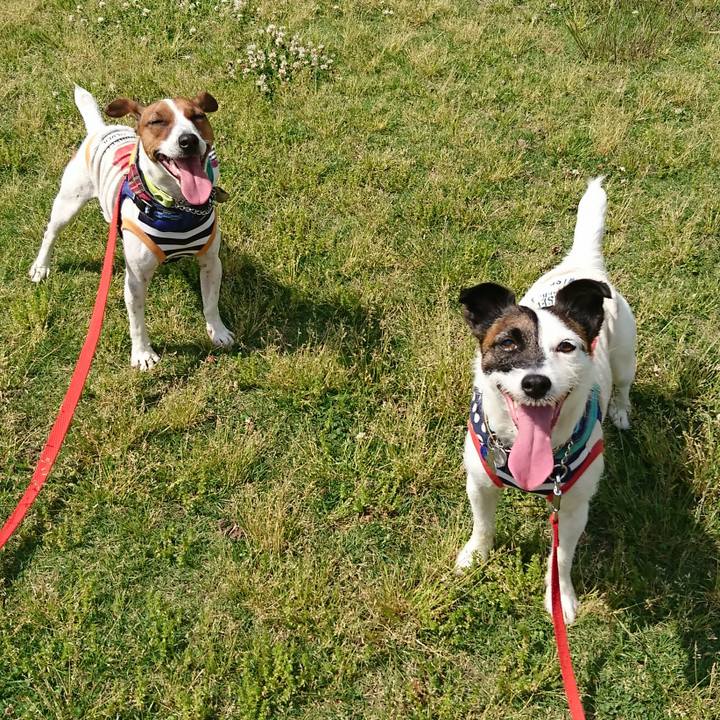 A44630f5 5888 481c ba97 4c0d82f65209 1557539136569