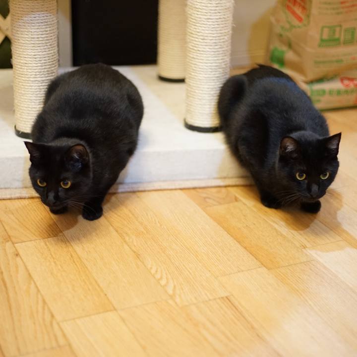 A44636ea b716 40bd 98b6 a4c1802c0585 1525822334519