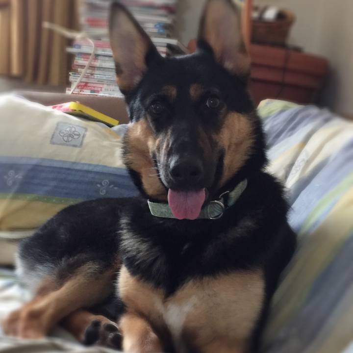 A4464474 529b 4e26 8379 dd1183c53211 1525571313718