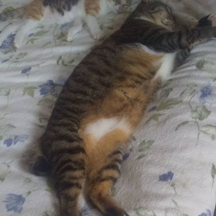 A4465001 9f8a 4556 a68a 564a13d2611e 1725187809535