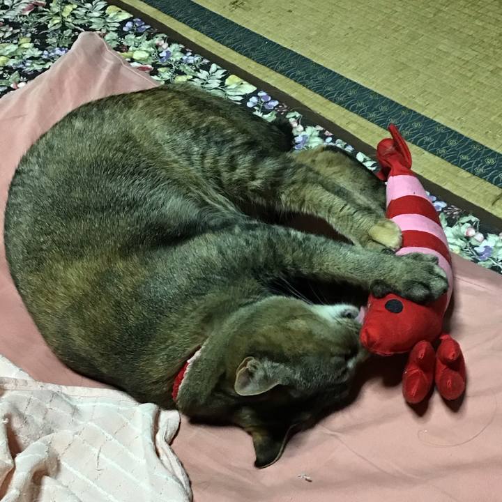 A44662ea 1e56 4495 8ea8 d5f00481b37b 1682685756265