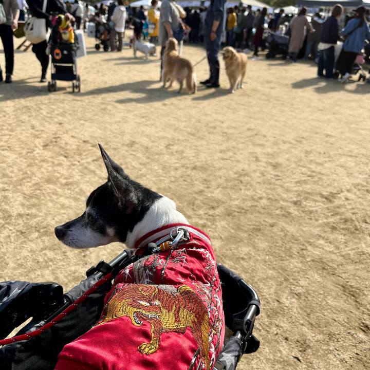 A446b777 b8e4 453e 97c2 0a51d9c60f6d 1636866288416