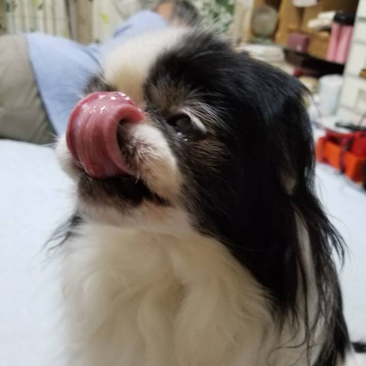 A446f177 bd69 41f5 88c0 408a3fa52c54 1538304485327