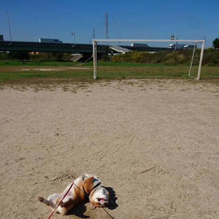 A4476677 87fa 487e 9e49 cec2a654d657 1634264337361