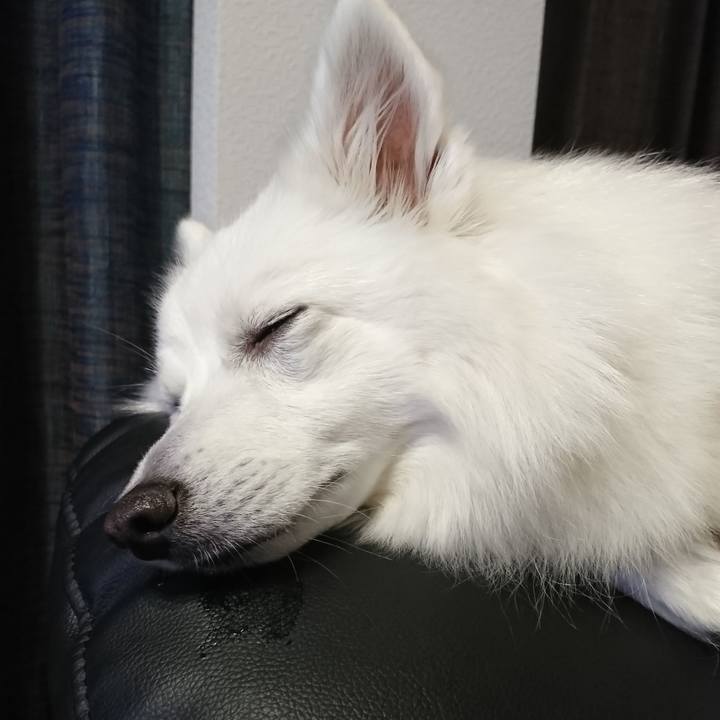 A447749d 4cf8 4f13 b323 41e6450e085f 1546002537431