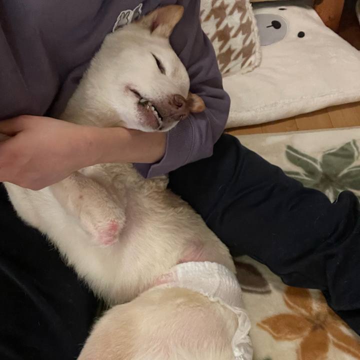 A447771c 5247 4bfa 996e b4bf7f5e1627 1671575416522