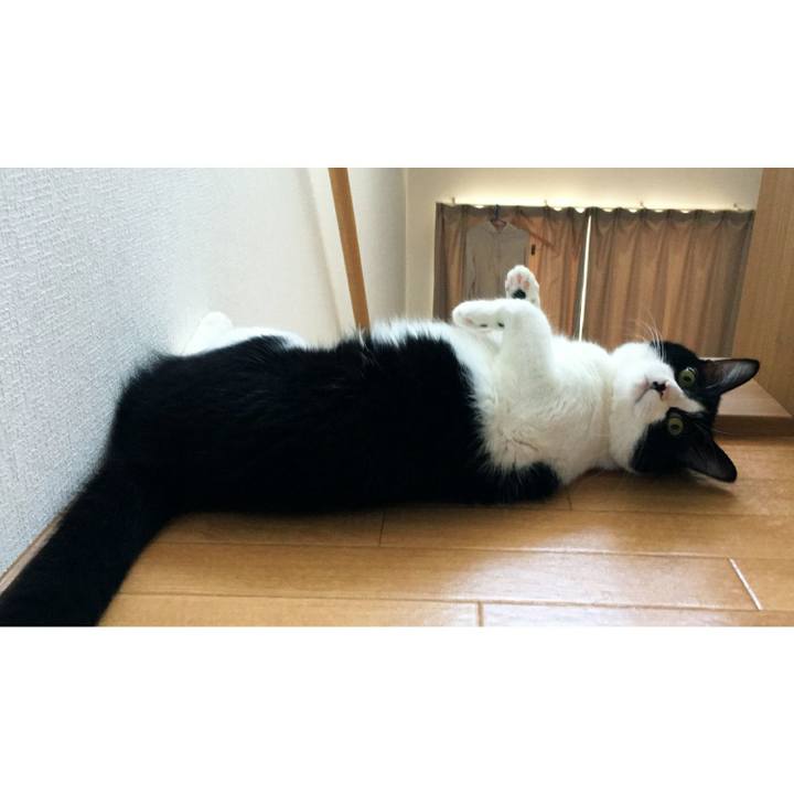 A447894f 97a2 45a2 b3ea e5b5bdd50498 1530623585214