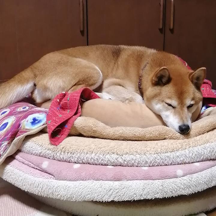 A447d40d f3dd 481b 9921 22064fa420fe 1651998916219