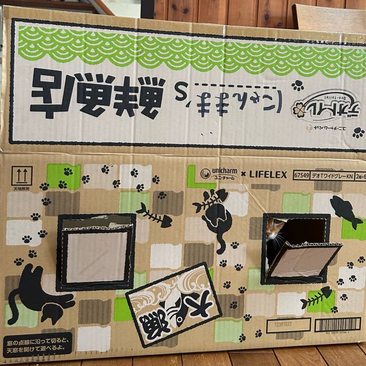 A447e695 137e 48dc b6b7 f94fdb29baeb 1691735048671