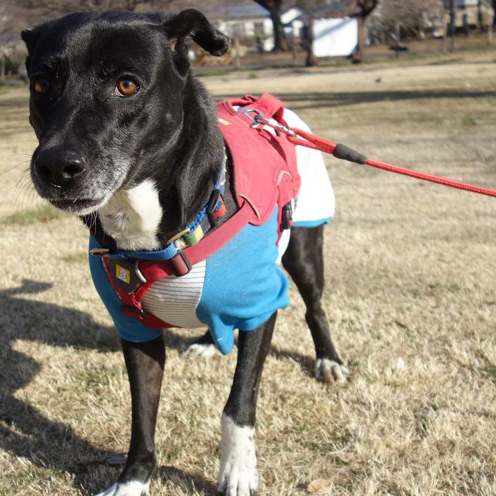 A44801a8 029b 4fce 8882 557f7d2754ce 1677890757752