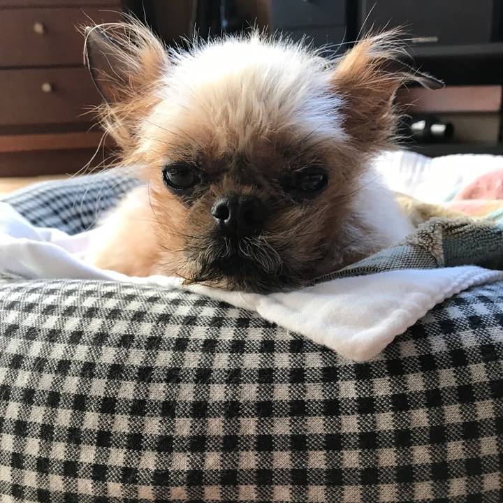 A448322b 92d8 411b 8440 b5bb85b5e39c 1527322238011