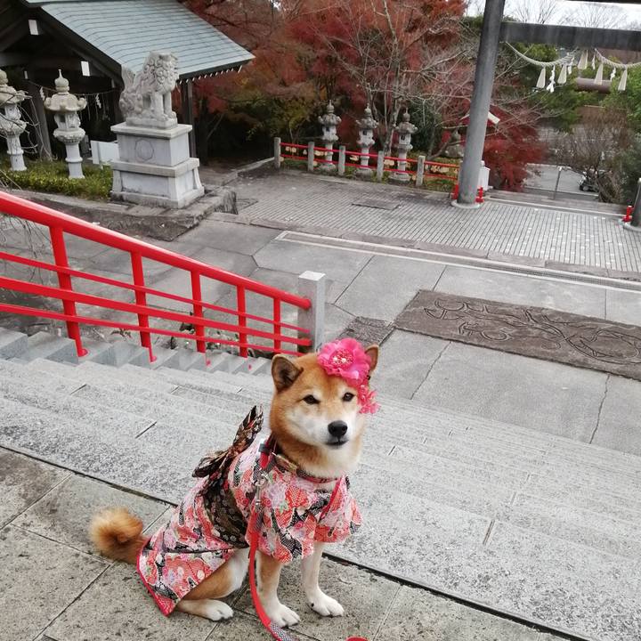 A4485388 9ab3 4c70 a8d6 66650849c450 1638883318768