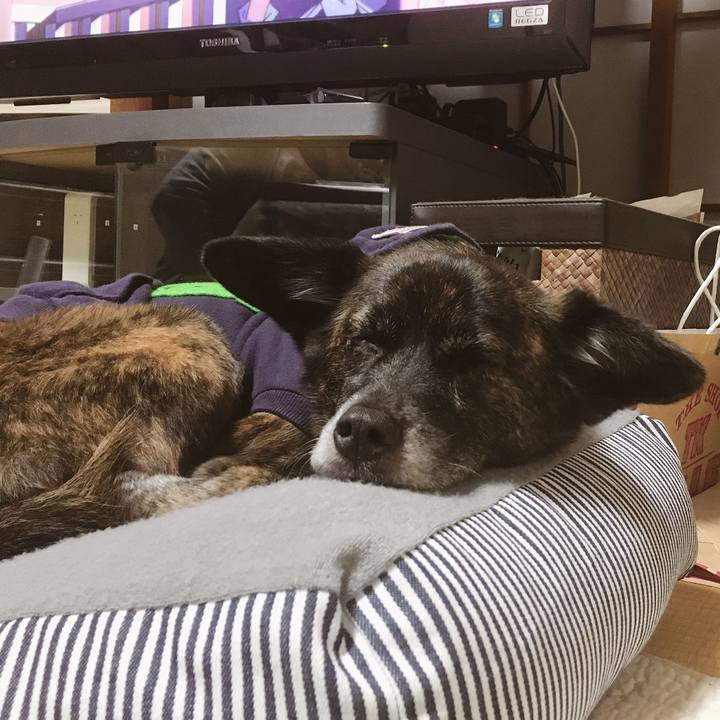 A44870b3 e587 447a b3aa 87683388f617 1542550460370