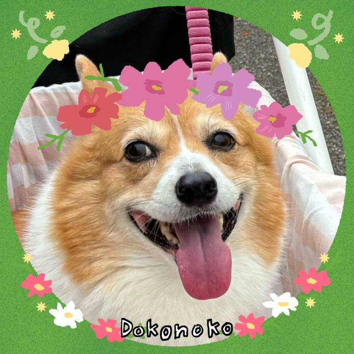 A4488522 8afe 4193 a495 d0985b499d6e 1726873688328