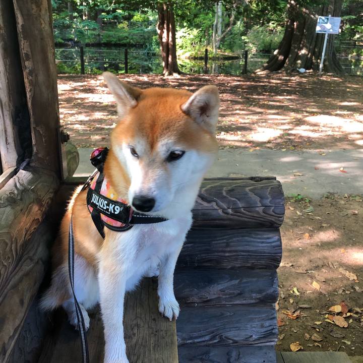 A448a5c4 1fb2 45ba ae37 4cb42eb46a18 1569546377629