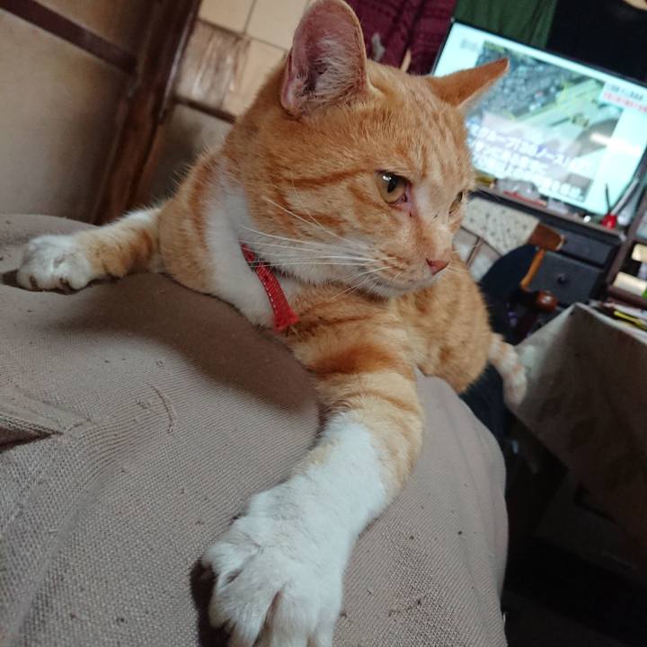 A448ae70 a9c8 4418 9e79 3d03bff0105b 1573882993408