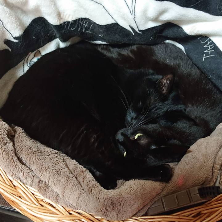 A448def6 87d0 4817 9128 270cf20c7ec7 1579960381768