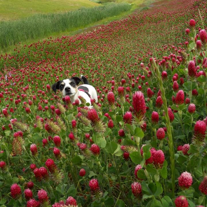 A449285b 2bee 4644 813c c39c67f80c8c 1552564732067