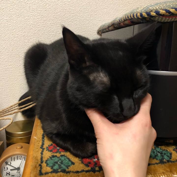 A4493815 d535 4309 b494 e304619931a2 1546776138018