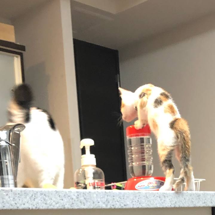 A449442a 4337 46d7 97e1 f52a20adfb21 1562335503132