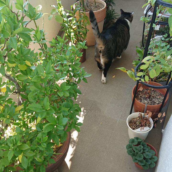 A449534c e074 4b85 8c60 7614e79be27c 1541030762103