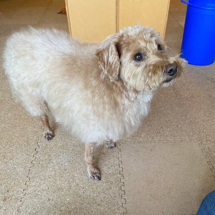 A449598b 3c57 4bf3 8c20 bf1d59065e79 1633831902150