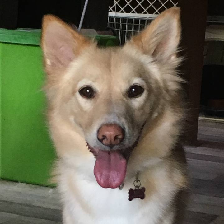 A4495be4 07a8 4cd2 a171 6541258fe306 1537203051711