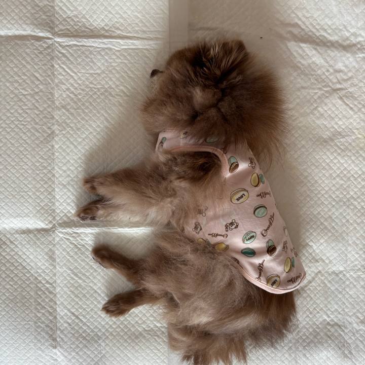 A44987ff d66a 4a40 a660 cda52bd3ce91 1770929974744