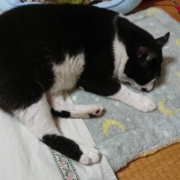 A449916e fb24 4da1 8938 10f1e95abf4d 1537859374462