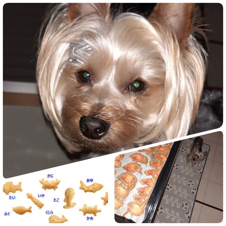 A449b921 670d 4749 80bc 9383bd530427 1589493914763