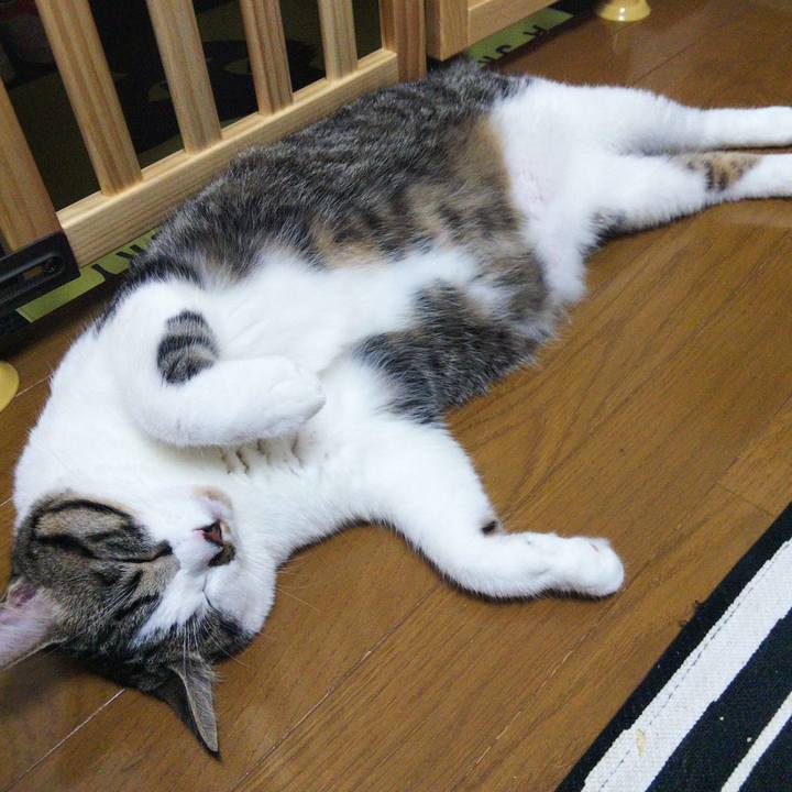 A449e435 238c 4e65 87ac b656c7506150 1626434833489