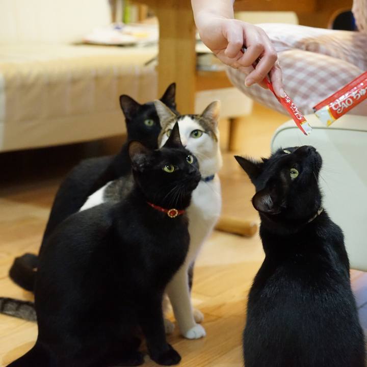 A449f243 1d19 40c9 a4bd 3d5f41e6ca21 1551013553341