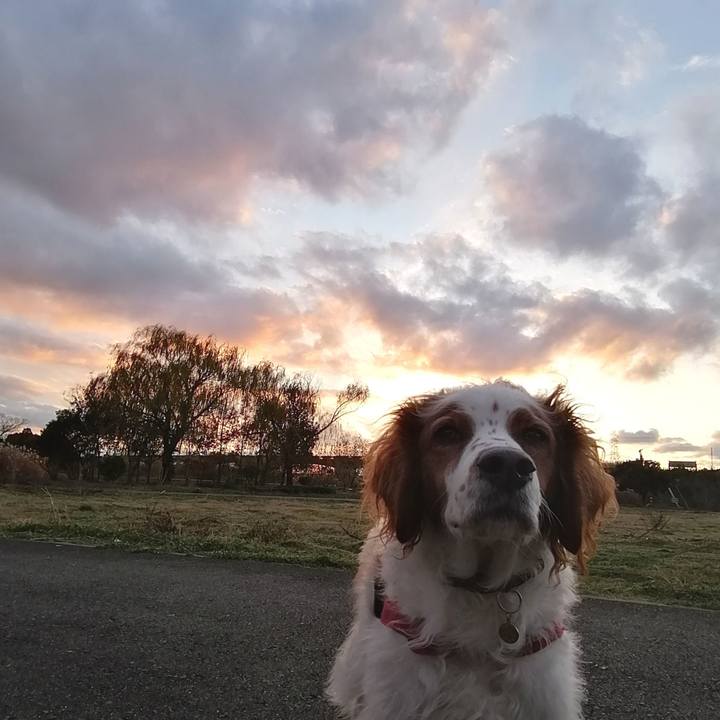 A44a2534 6ccc 487e 8eba d016e2086b70 1577274391670